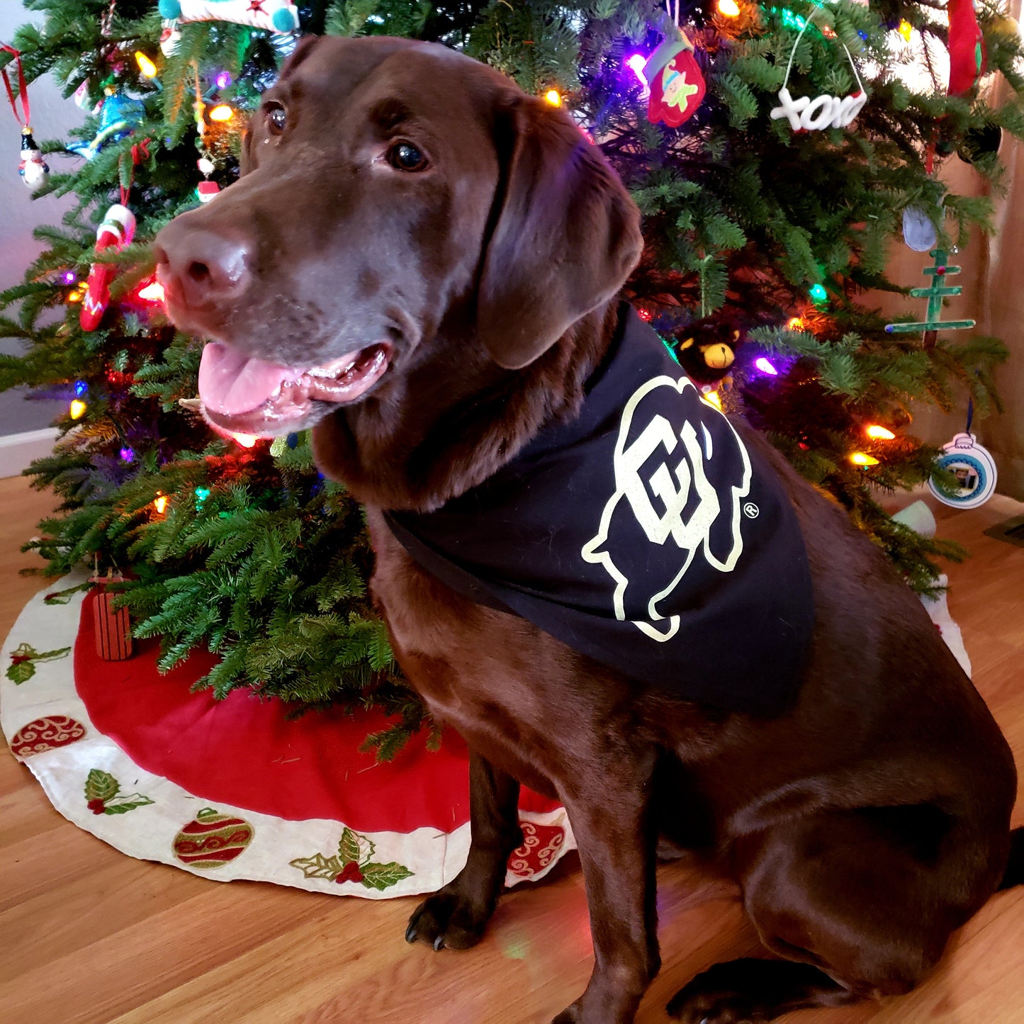Large Triangle CU Pet Bandana